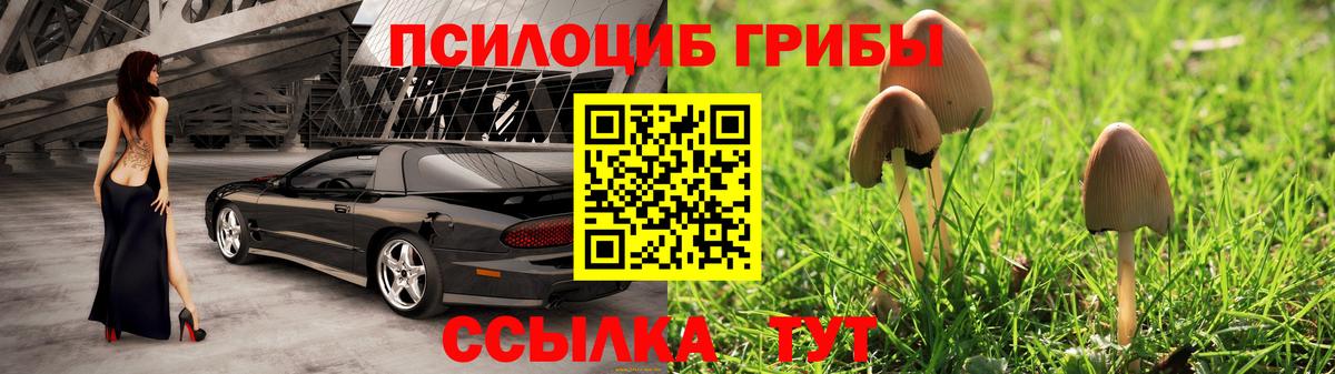 Галлюциногенные грибы прущие грибы  Вход с VPN  Галлюциногенные грибы Cubensis  Реж 